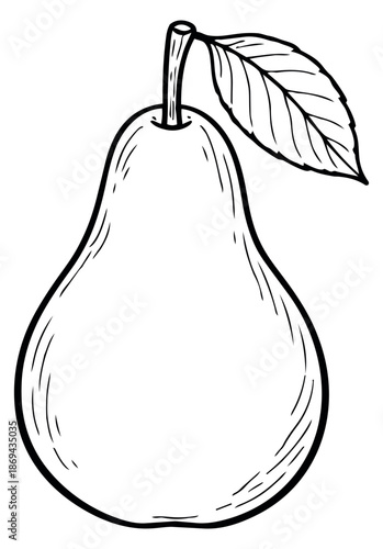 Hand drawn line art illustration of a pear depicting a fresh fruit with a leaf for food concepts