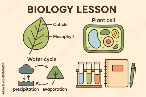 Biology lesson diagram with plant cell, leaf structure, water cycle, and laboratory equipment