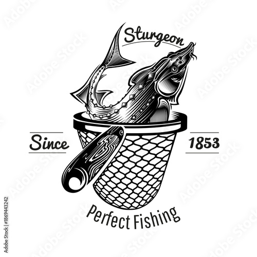 Sturgeon Fish in Landing Net Monochrome Vector Illustration