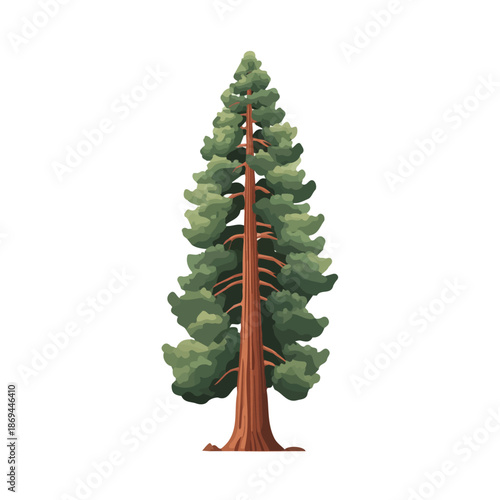 Redwood Tree flat vector illustration in a modern and simple 2D style, placed on a white background.