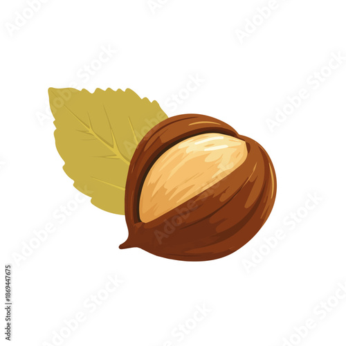 Hazelnut — flat 2D vector artwork created in a clean, modern, and minimal style on white background.