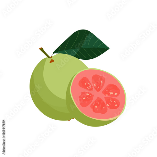 Flat 2D minimalist illustration of a Guava, modern vector design with white background.
