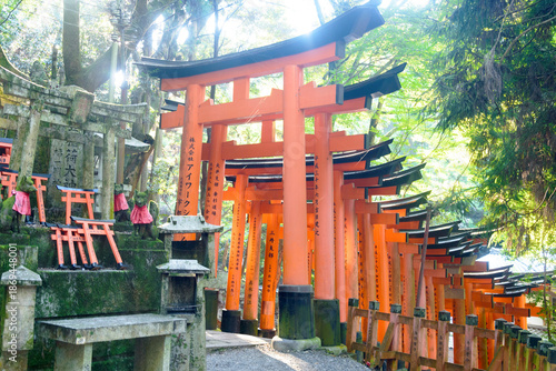 Tori Gate in Kyoto, Japan. 22 June 2025