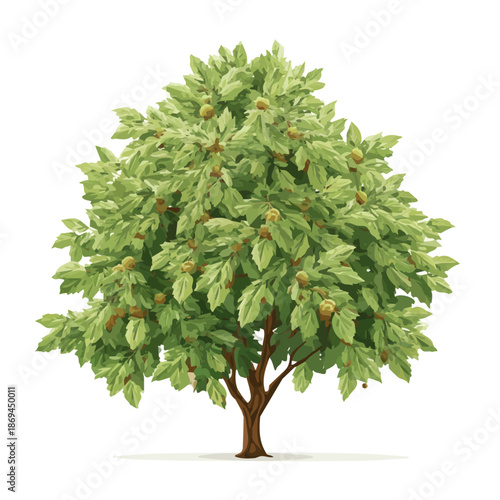 A simple and modern flat 2D vector of a Chestnut Tree, isolated on a pure white background.
