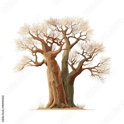Flat 2D minimalist illustration of a Baobab Tree, modern vector design with white background.