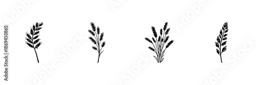 Four Botanical Herb Illustrations In Hand Drawn Style Set. Nature, Herbal Medicine, Aromatherapy Doodle Sketch Collection. Rustic Floral Elements. Isolated Vector Illustration