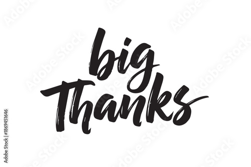 Big thanks black calligraphy text vector illustration on transparent background