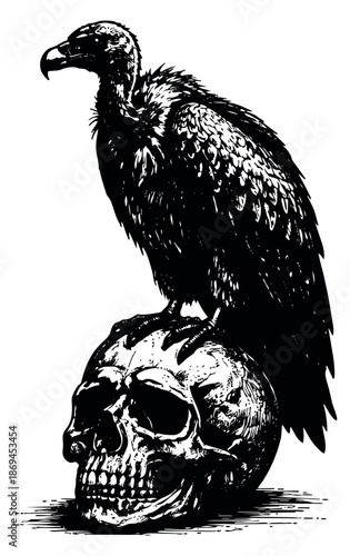 Gritty hand drawn illustration of a vulture perched on a human skull depicting death and decay for themed designs and dark art