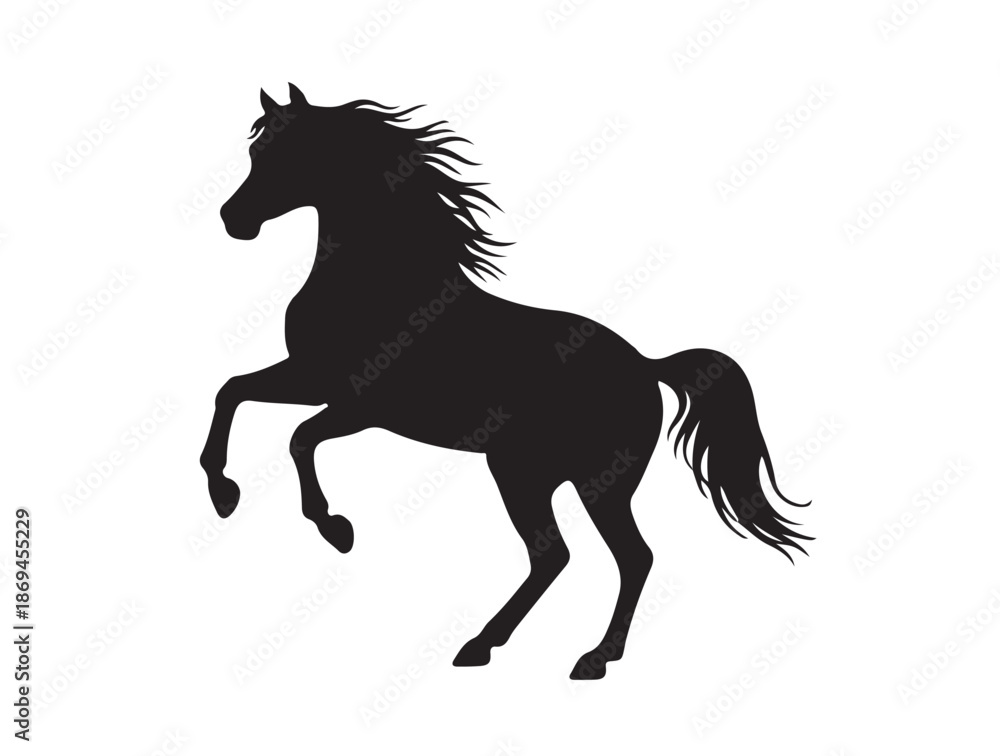 Obraz premium Arabian horse in silhouette white background.