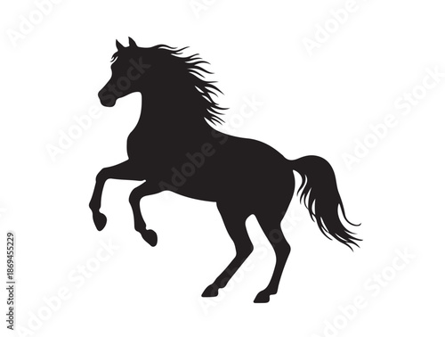  Arabian horse in silhouette white background.
