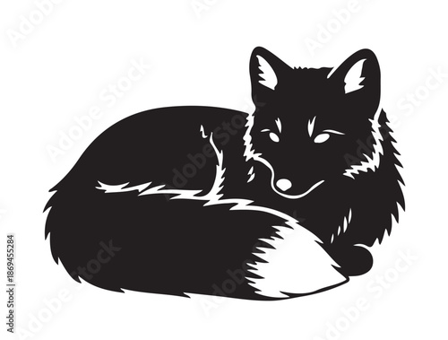 Arctic Fox in silhouette white background.