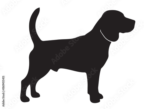  Beagle in silhouette white background.