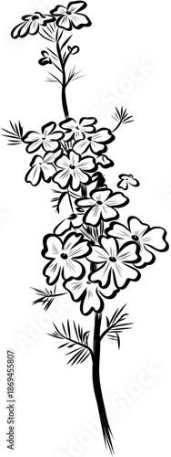 Hand drawn verbena branch vector line art