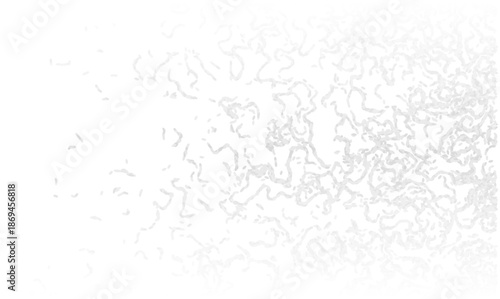 Abstract light gray vector pattern with organic flowing lines, subtly fading into a pristine white background. This digital illustration effectively conveys science, technology, data visualization,
