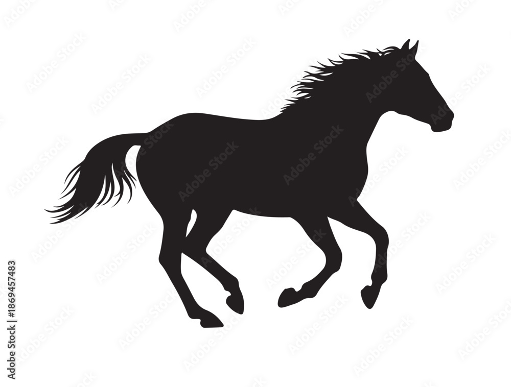 Obraz premium Quarter Horse in silhouette white background.