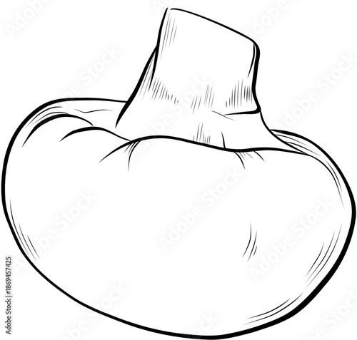 Hand drawn champignon mushroom vector sketch isolated