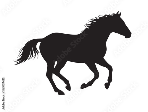 Quarter Horse in silhouette white background.