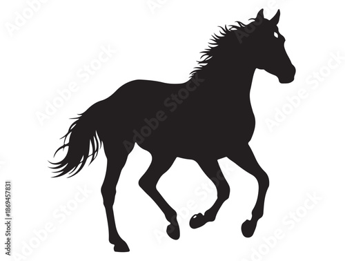 Thoroughbred in silhouette white background.