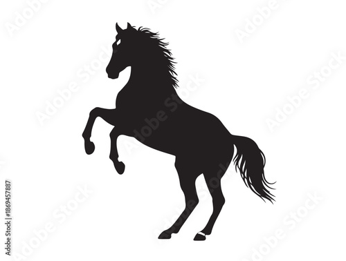 Thoroughbred in silhouette white background.