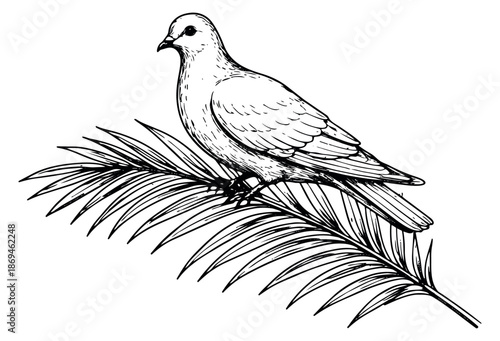 Hand drawn line art illustration of a dove depicting peace and spirituality for nature concepts