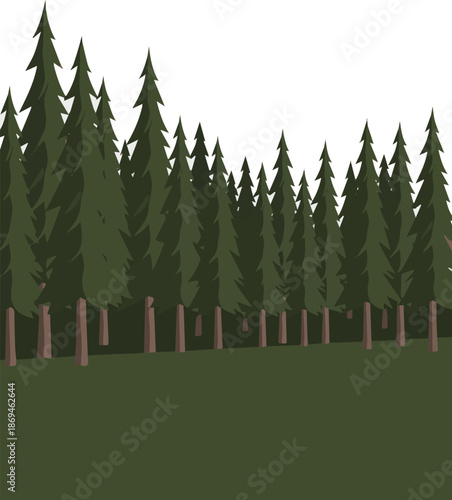 Create a realistic Long row of mountain pine growing as hedge vector art with white background.