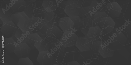 Gradient hexagonal background. white and black colors. copy space area