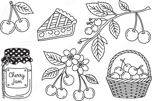Cherry illustrations including pie, jam, and fresh fruit Vector.