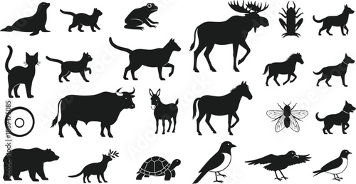Animal silhouette collection, diverse wildlife icons, pets and insects, black vector illustration, minimal style, educational design, nature theme, zoology reference