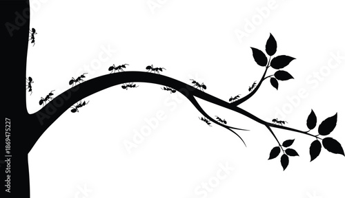 Black silhouette collection of leafless winter trees, intricate bare branches, a perched crow, and ants marching on a leafy twig, for natural forest graphic design.