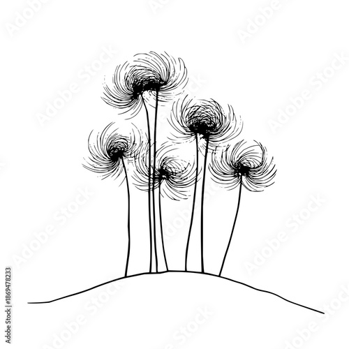 A solid black background with no discernible features or elements, minimalist design.