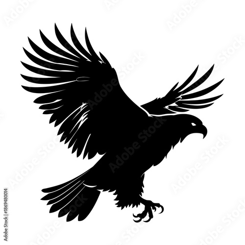 Detailed black silhouette of an eagle or falcon with spread wings and extended talons. Stylized drawing in graphic art style. Vector illustration.