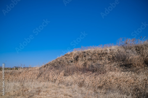 Wallpaper Mural 영종도  Torontodigital.ca