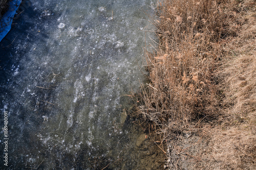 Wallpaper Mural 영종도 갈대, 얼어붙은 개울  Torontodigital.ca