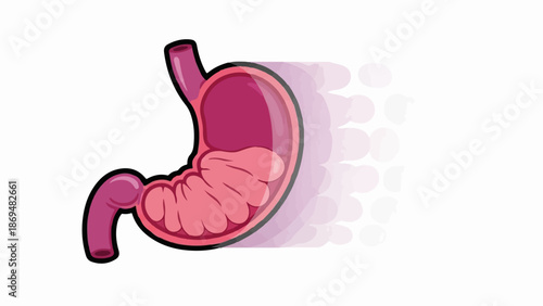 Stylized cross-section of a digestive organ, showing internal folds and a fading motion effect