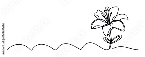 Elegant continuous line drawing of a lily flower suitable for botanical branding, minimalist wedding invitations, spring decor, or sophisticated natural product packaging.