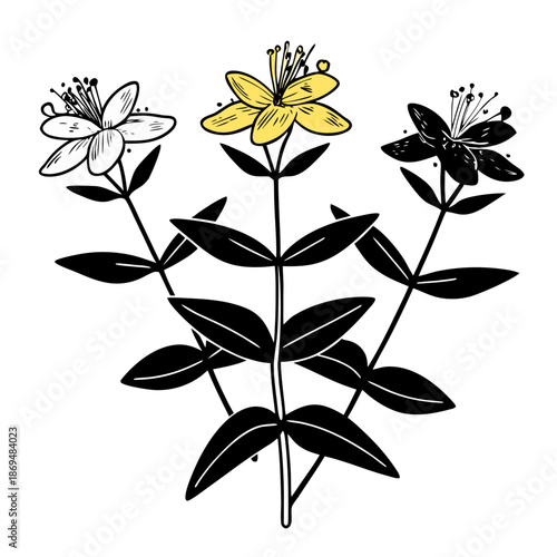 Three flowers with yellow, white, and black details on stems  