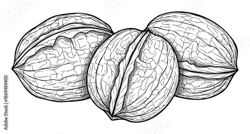 Three whole walnuts presented as a detailed botanical line drawing perfect for food packaging health magazines or recipes focusing on nutritious eating and natural ingredients