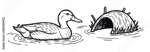 A serene hand drawn illustration featuring a swimming duck beside its natural habitat shelter, suitable for educational wildlife publications or environmental awareness campaigns.
