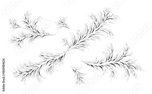 Abstract flowing black lines on white background forming delicate organic frosty patterns resembling winter ice or natural tendrils for decorative graphic designs