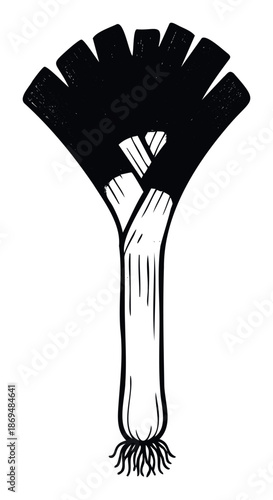 Stylized black and white leek drawing perfect for culinary blogs, restaurant menus, or healthy food advertisements emphasizing fresh organic produce.