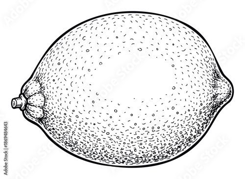 Stylized black outline drawing of a fresh lemon citrus fruit with textured skin perfect for healthy food recipes, refreshing drink menus, or natural ingredient packaging designs