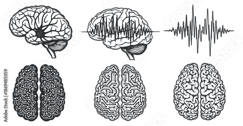 A collection of brain illustrations with sound wave patterns in detailed black outline vector style, ideal for educational and medical design