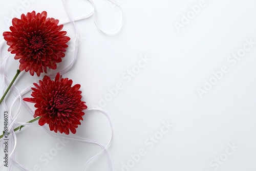 Two Red Chrysanthemums with White Ribbon on White Background, Soft Lighting, Top View