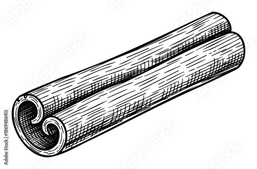 An aromatic cinnamon stick, characterized by its multiple rolled layers, depicted in a classic handdrawn engraving style, perfect for culinary blogs, spice packaging, or educational