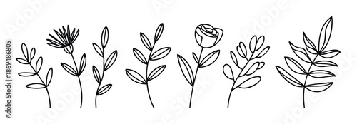 Modern minimalist line drawing plants and flowers set perfect for natural branding, graphic design, textile prints, and organic product packaging