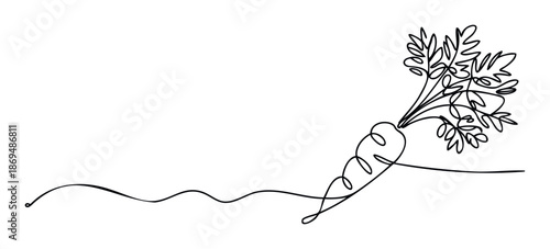 Minimalist continuous line drawing of a healthy organic carrot with lush green leaves, perfect for vegetarian recipe blogs or farm to table restaurant menus.