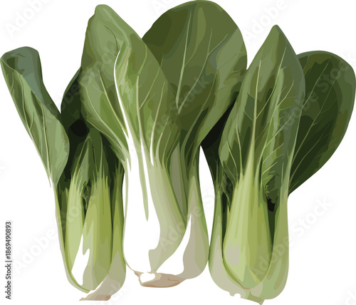 Fresh green celery bunch with leaves vegetable