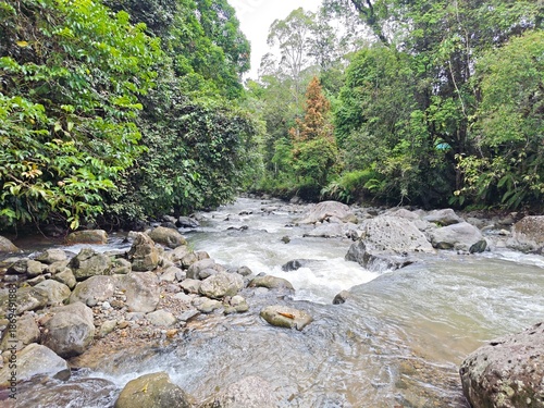Canvas Print A clear stream of water flows swiftly over rocks in the forest in West Lampung, Lampung, Sumatra, Indonesia