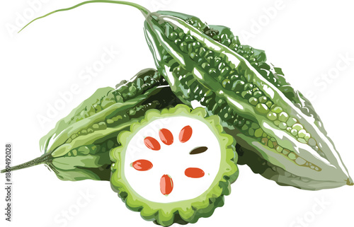 Green Bitter Gourd with Sliced Cross Section Showing Red Seeds