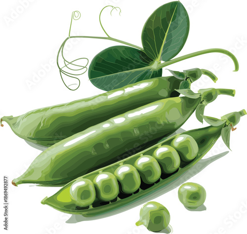 Green Pea Pods with Fresh Peas and Leaves vegetables